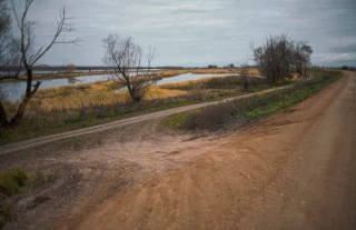  Природа Верхней Волги. Речные пейзажи