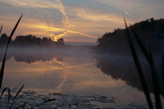 Kostroma river on a summer morning. Photo by Anatoly Voinov, 2017