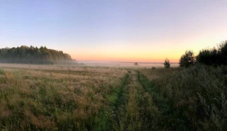  Природный пейзаж в чухломских полях
