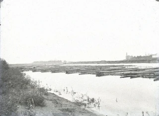  Костромская губерния. Конец XIX - начало ХХ вв. Дмитриев Максим Петрович