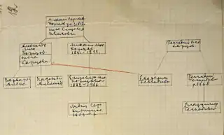 Illustration 2. Genealogical diagram compiled by L. S. Kititsyna