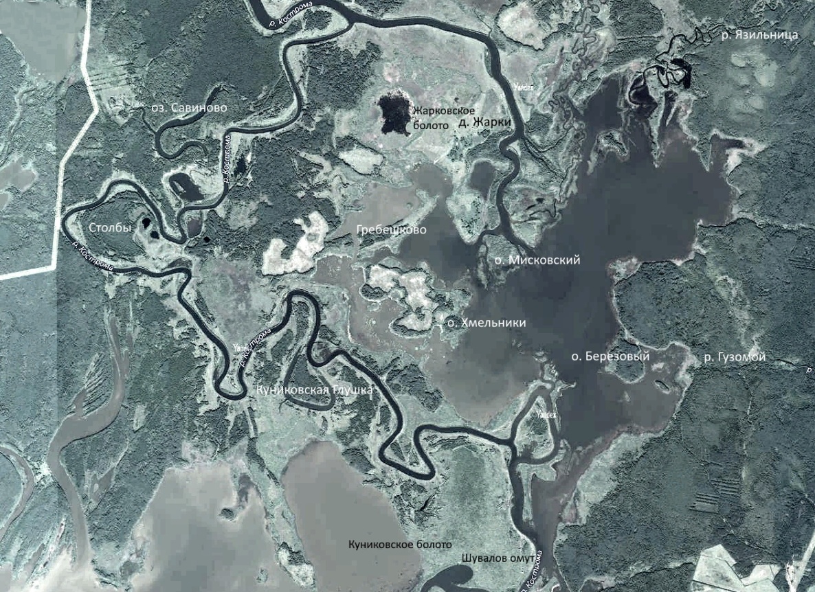  Северная часть низменности с Жарковским островом на космическом снимке
