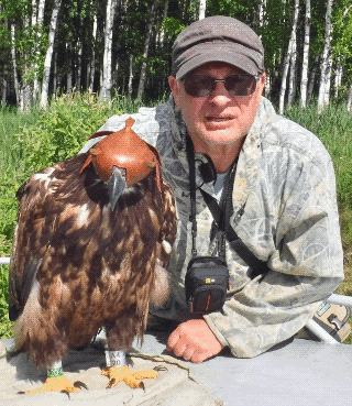 Kostroma eagle