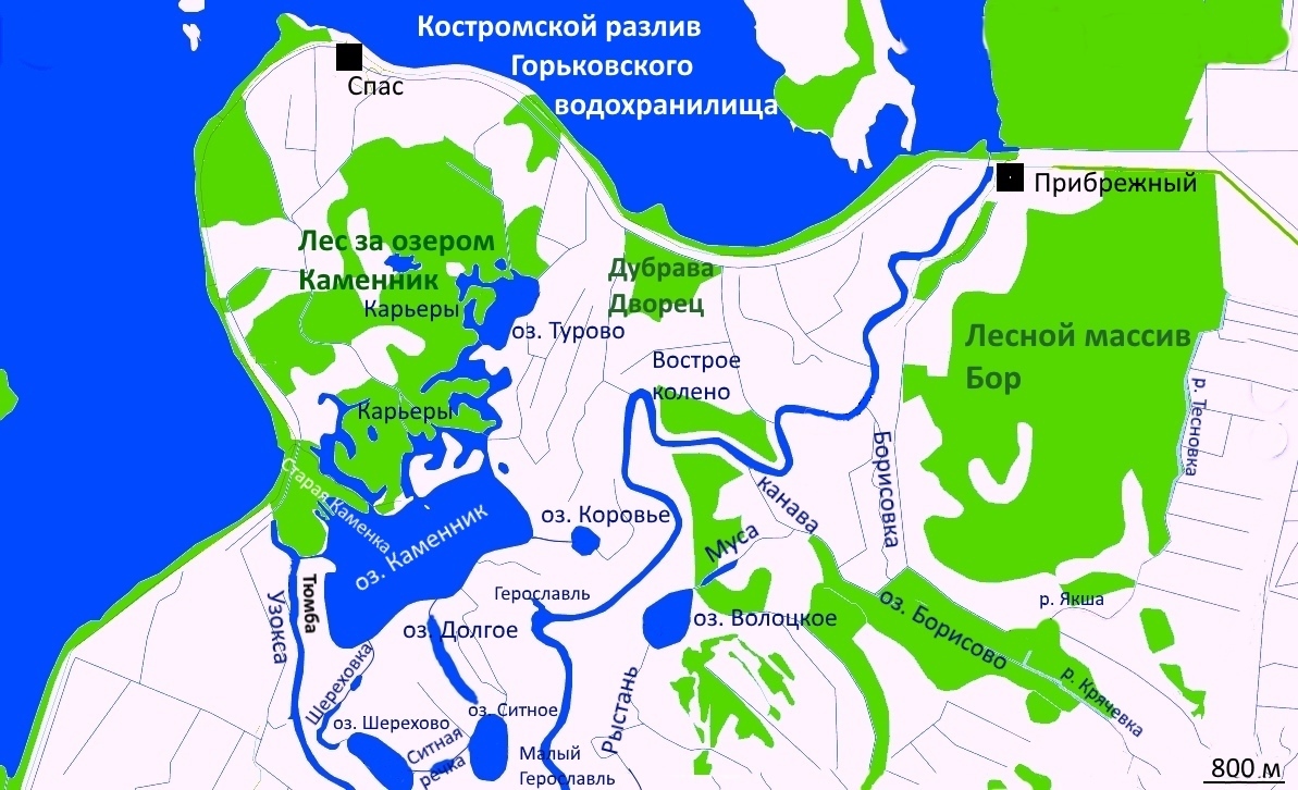  Местные названия объектов в северной части обвалованной дамбами территории Костромской низменности