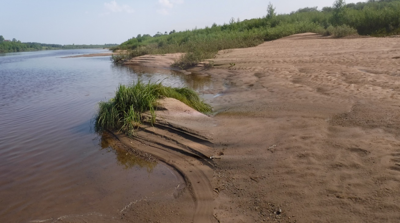 Затопленная долина реки 5. Герасимовка речные наносы. Река песок. Пески на реке. Наносы в водохранилище.