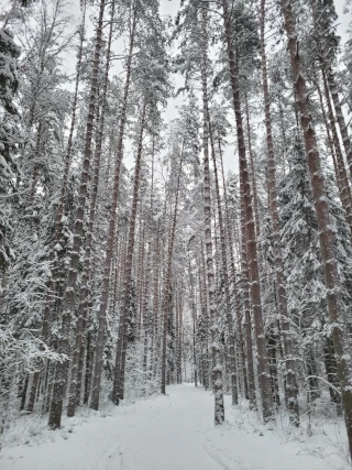  Места зимнего отдыха. Зкология природы края