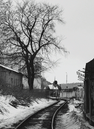  Уличные репортажные снимки. Kostroma winter
