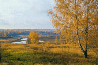  Природа Костромского и Ярославского края